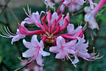 Similar image 2244381