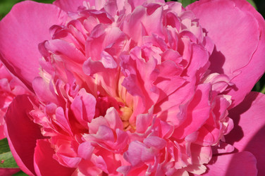 Similar image 2244383