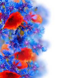 Similar image 2250282