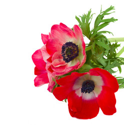 Similar image 2250289