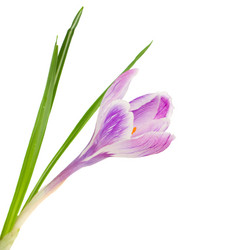 Similar image 2250357