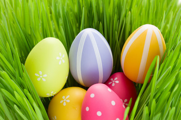 Similar image 2250387