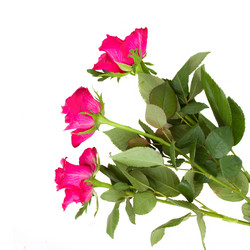 Similar image 2250518