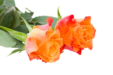 Similar image 2250521