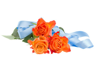 Similar image 2250523