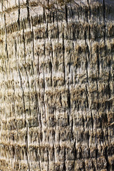 Similar image 2251921