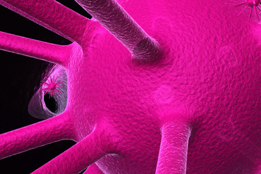 Similar image 2253179