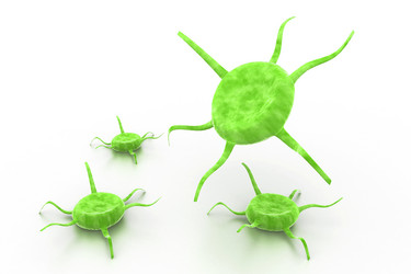 Similar image 2253273