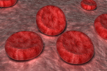 Similar image 2253275