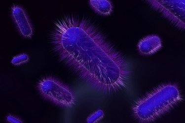 Similar image 2255579