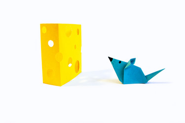 Similar image 2255582