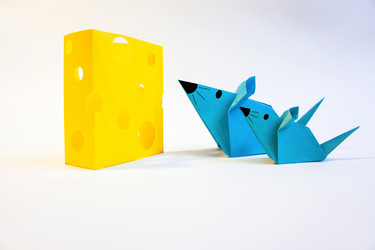 Similar image 2255583