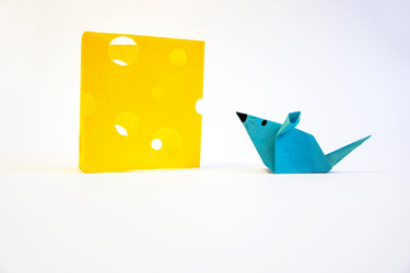 Similar image 2255629