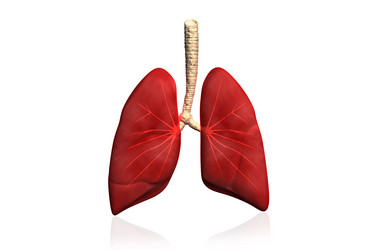 Similar image 2256168