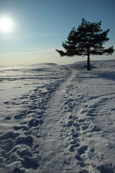 Similar image 2256946