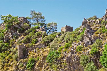 Similar image 2258161