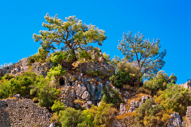 Similar image 2258162