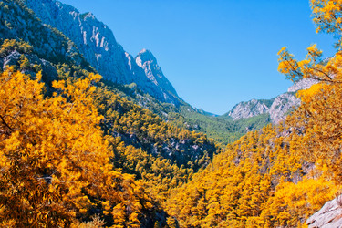 Similar image 2258165