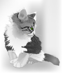 Similar image 2260126