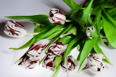 Similar image 2260223