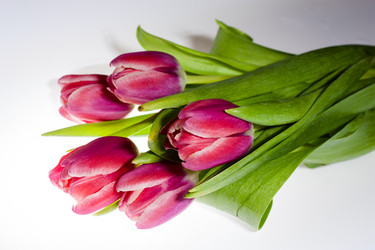 Similar image 2260224