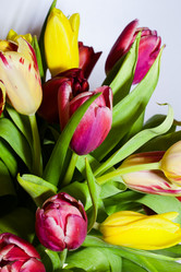 Similar image 2260245