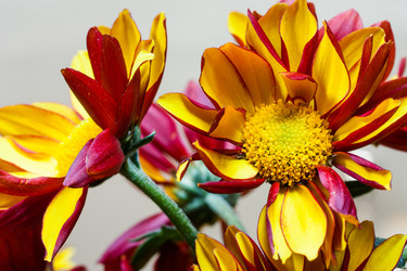 Similar image 2260254