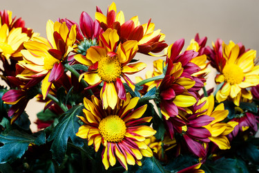 Similar image 2260258