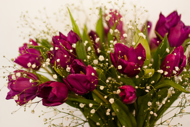 Similar image 2260262