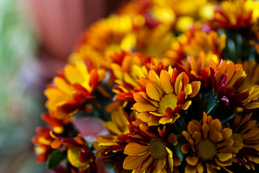 Similar image 2260263