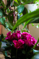 Similar image 2260273