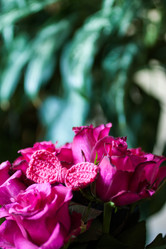 Similar image 2260275