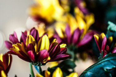 Similar image 2260278