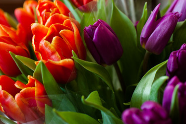 Similar image 2260357