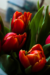 Similar image 2260358