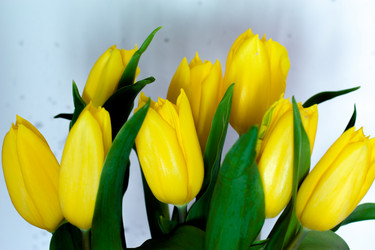 Similar image 2260361