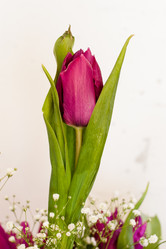 Similar image 2260362