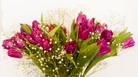 Similar image 2260365