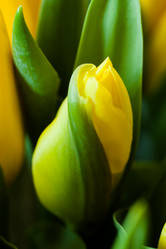 Similar image 2260366