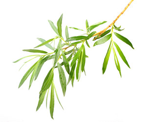 Similar image 2265932