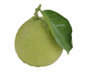 Similar image 2266106