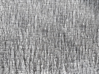 Similar image 2266117