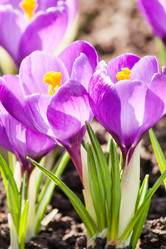 Similar image 2266407