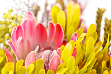 Similar image 2266574