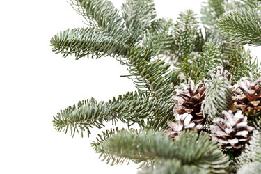 Similar image 2266584