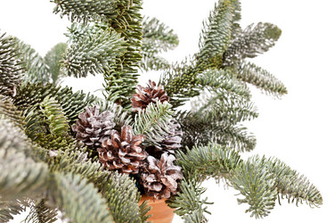 Similar image 2266586