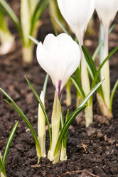 Similar image 2266649