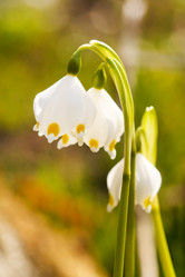 Similar image 2266669