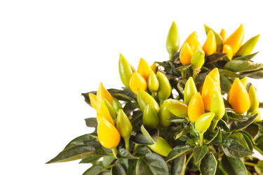 Similar image 2266870