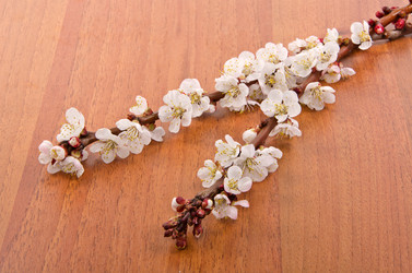 Similar image 2268022